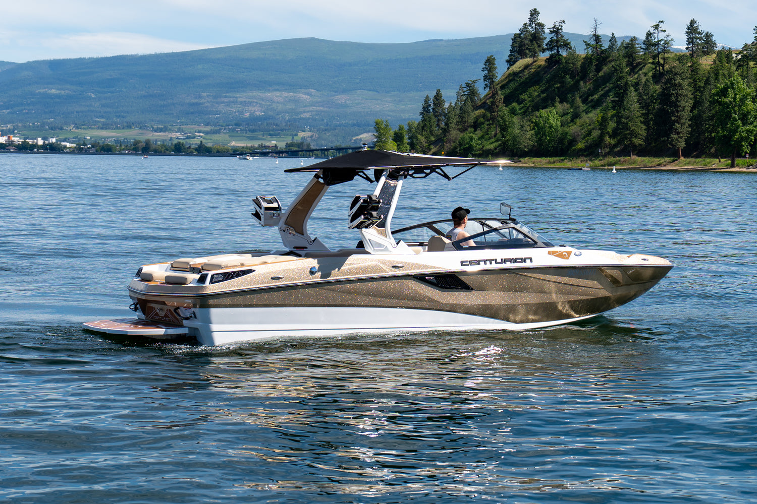 Boat on a lake with mountains and trees in the background