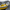 Yellow and black speedboat on a dock with a marina background